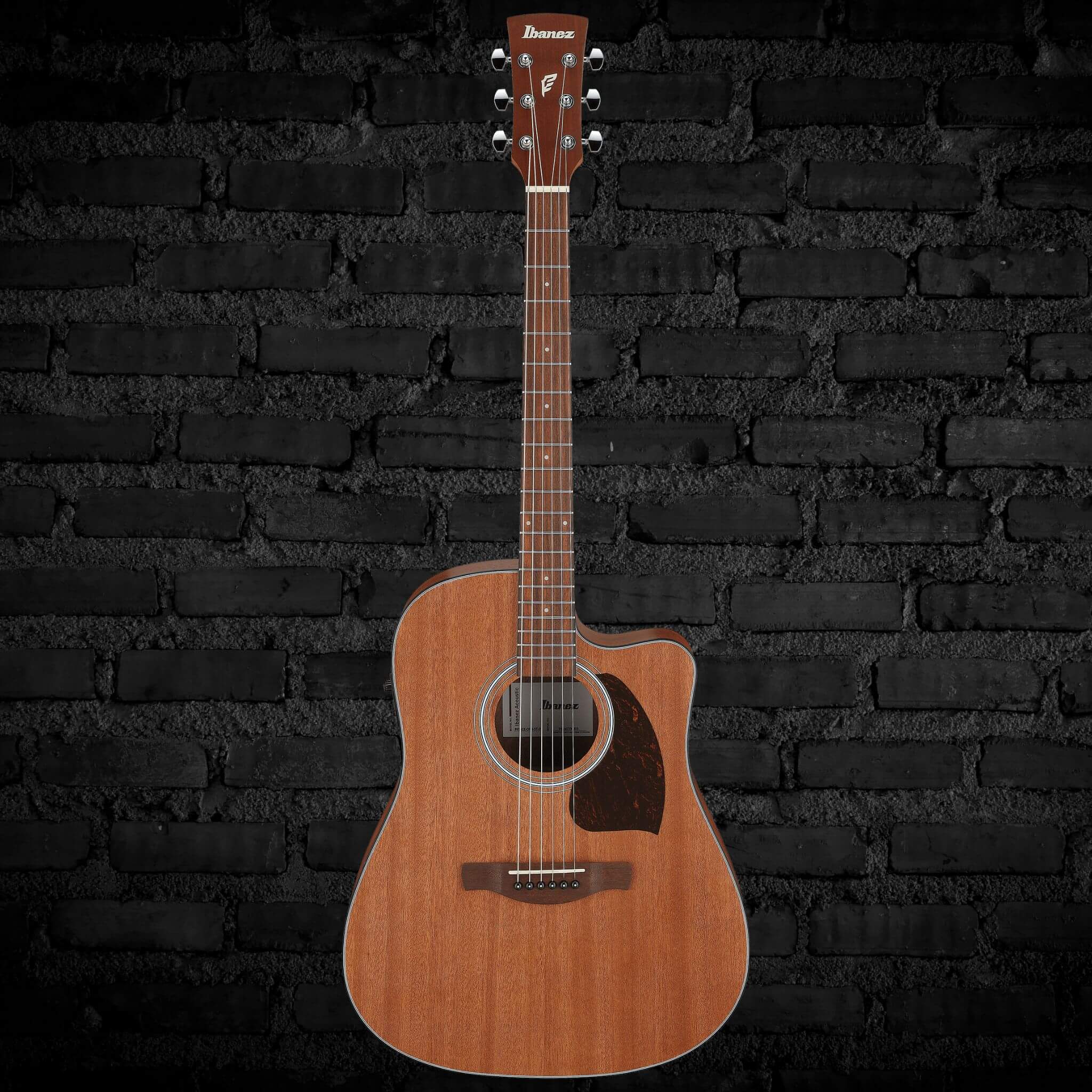 Ibanez PF54CE Acoustic-electric Guitar- Natural
