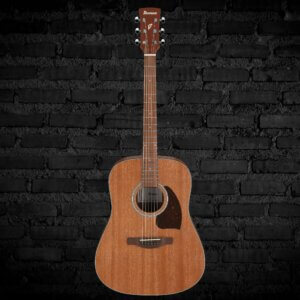 Ibanez PF54 Acoustic Guitar - Natural