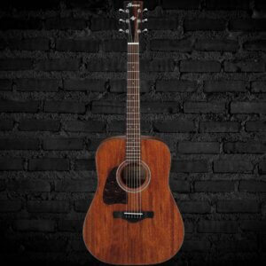 Ibanez AW54 Left-Handed Acoustic Guitar - Open Pore Natural