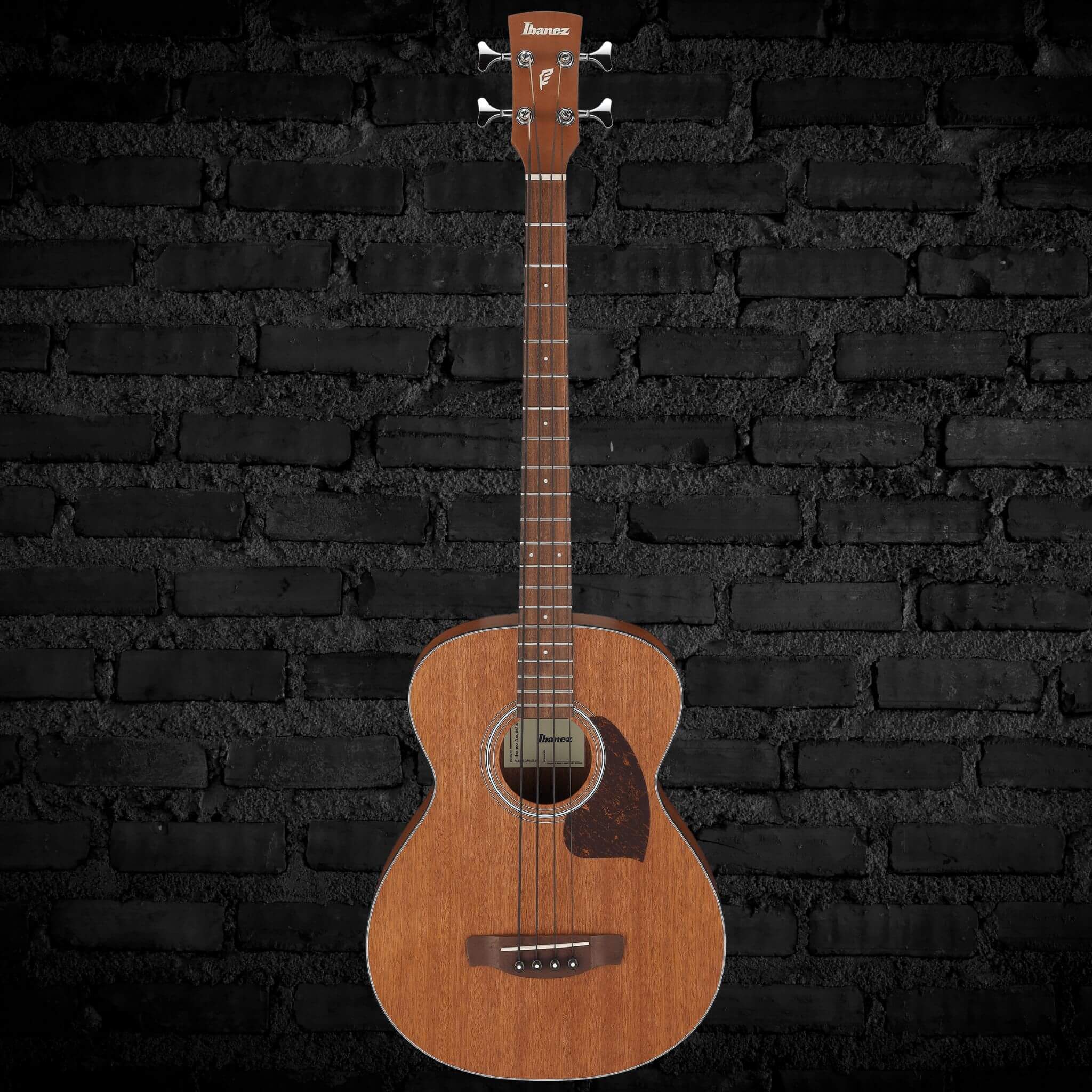Ibanez PCB54E Acoustic-electric Bass Guitar - Open Pore Natural